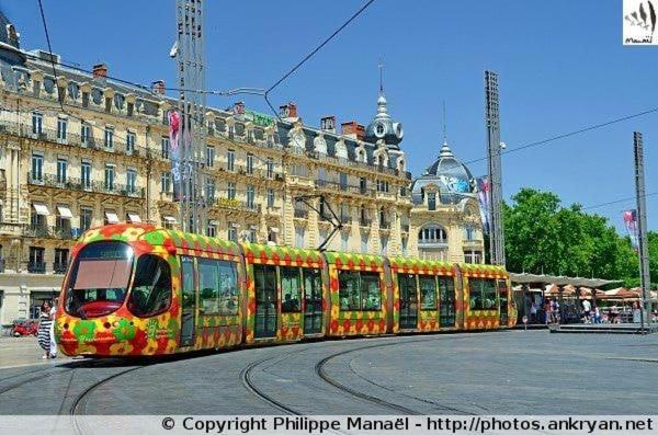 Appartement T2 Lumineux Avec Terrasse Proche Du Tram *
